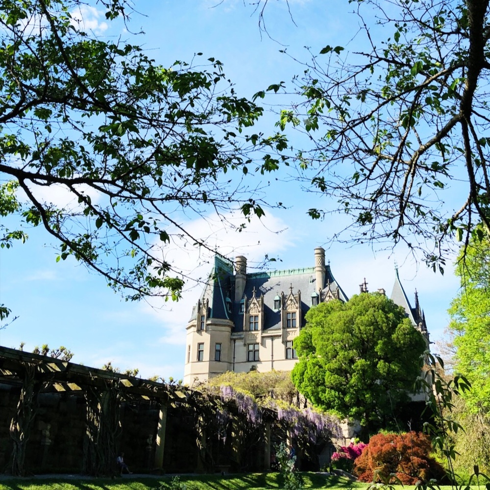 Meet your Posher, Brooklyn